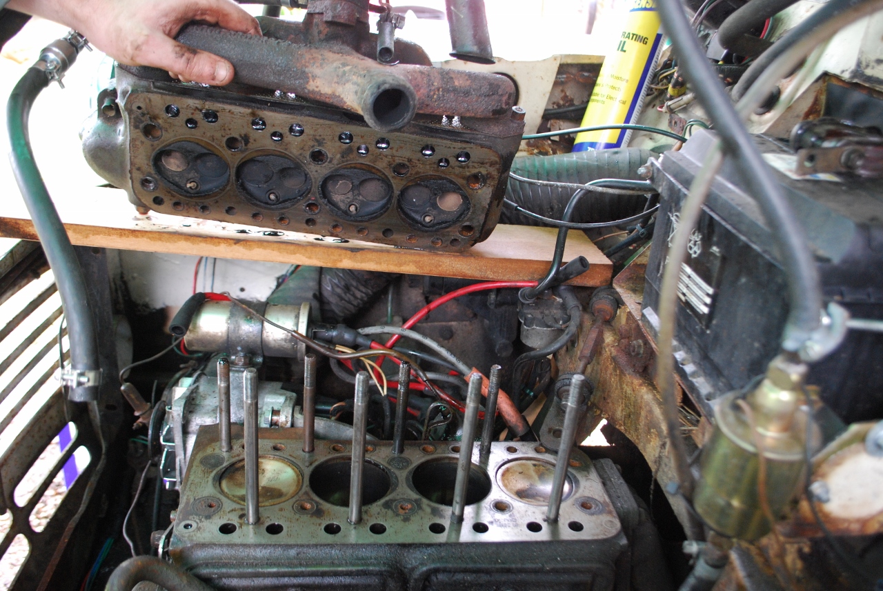 DSC_1135 (1280x857).jpg