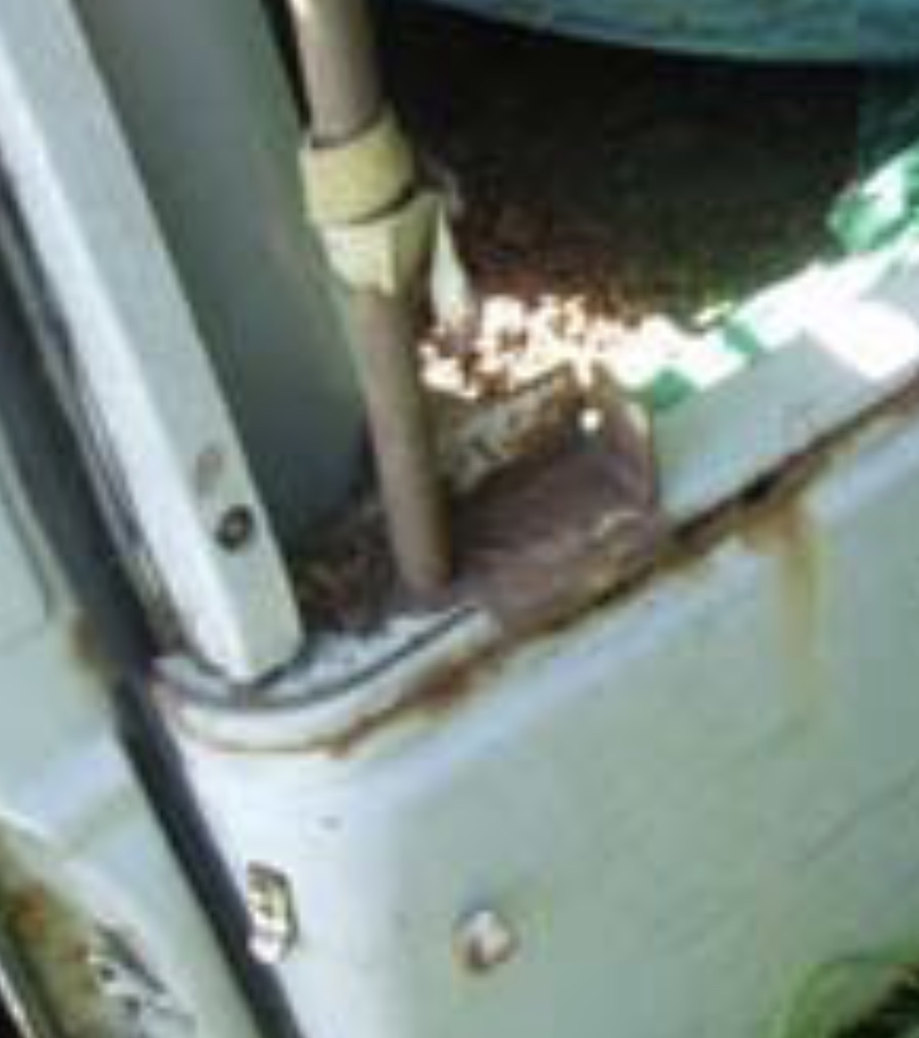 DCBEB1CC-3F34-4739-9CFB-BA7033835277.jpeg
