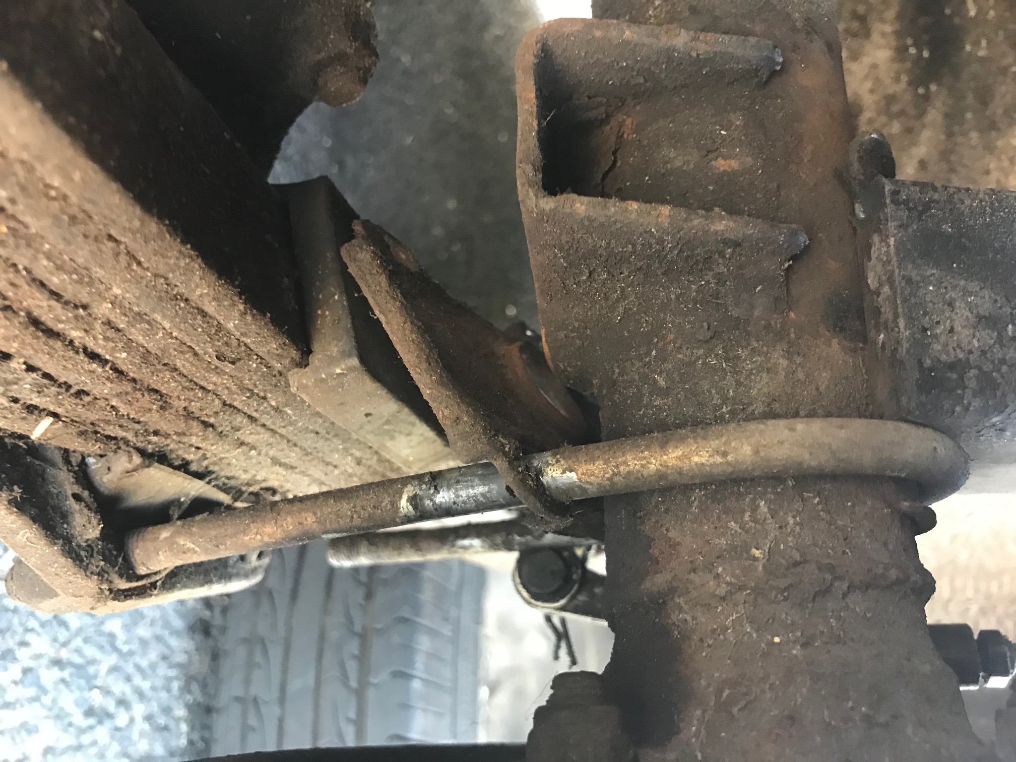 IMG_8327.jpg