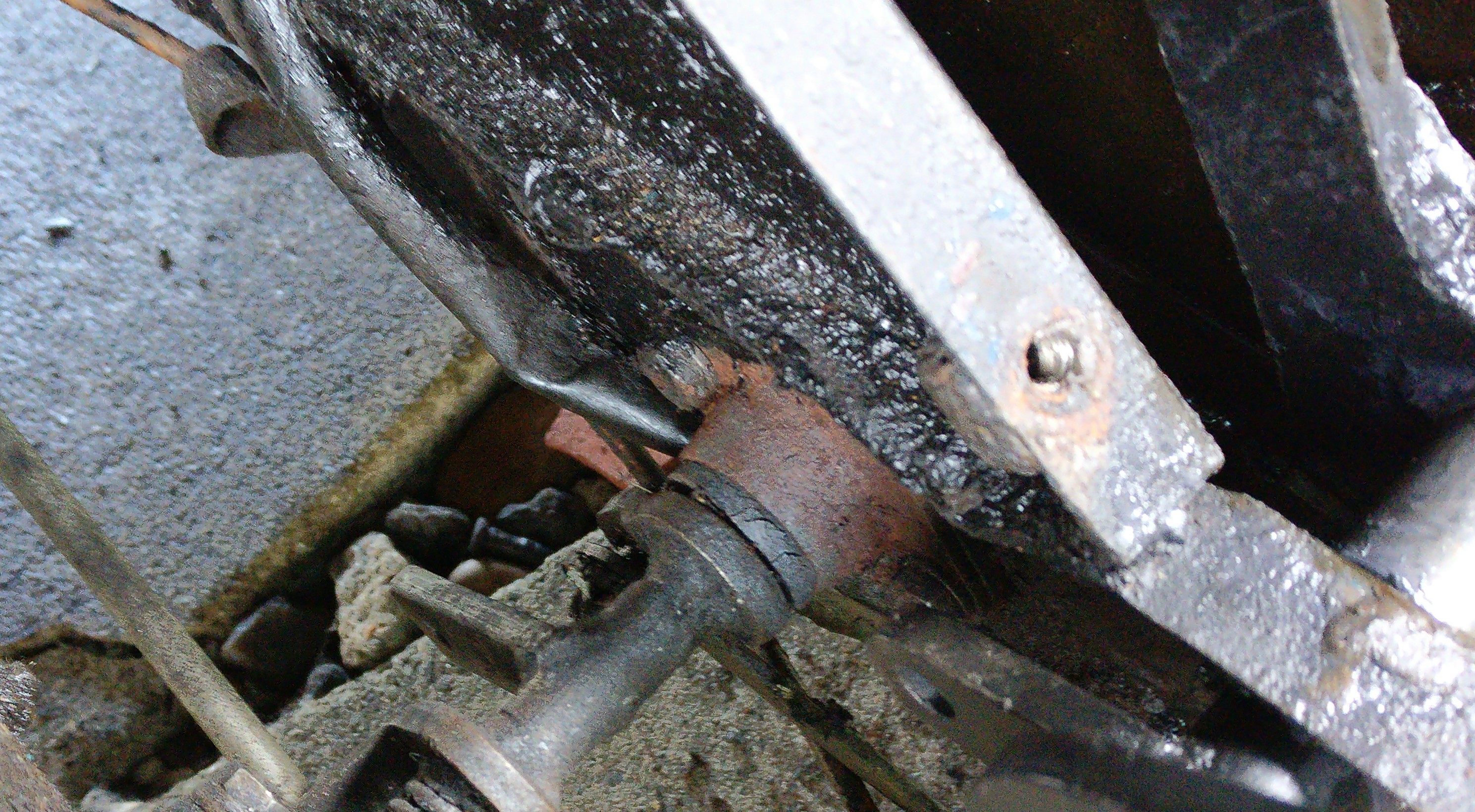 IMG_20201031_110422-crop.jpg