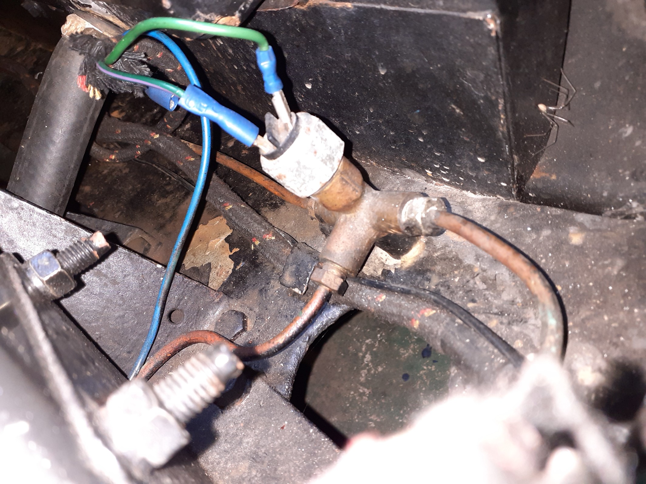 20201101_191831.jpg