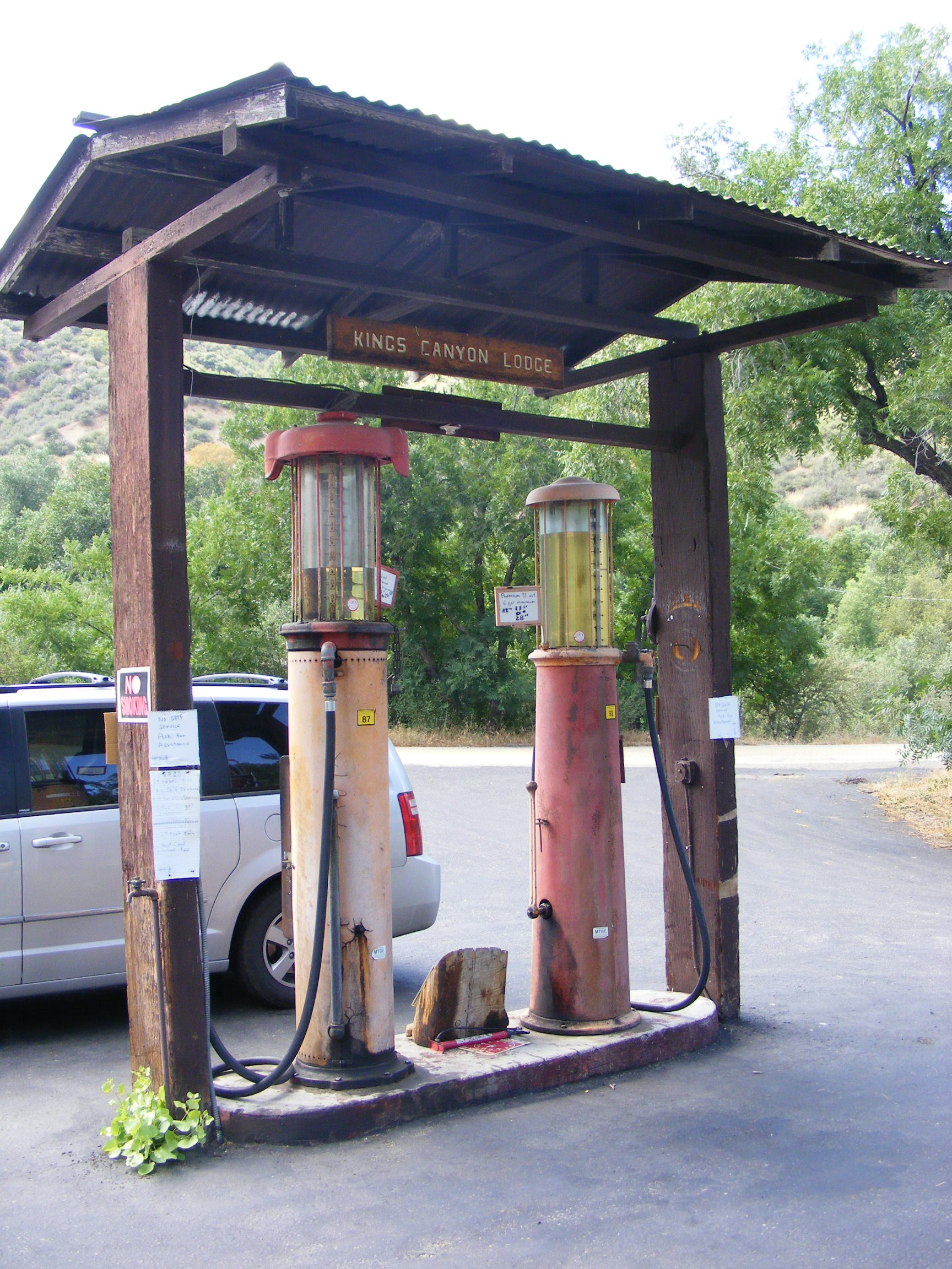 2010_0729Yosemite_Sequoia0534.JPG