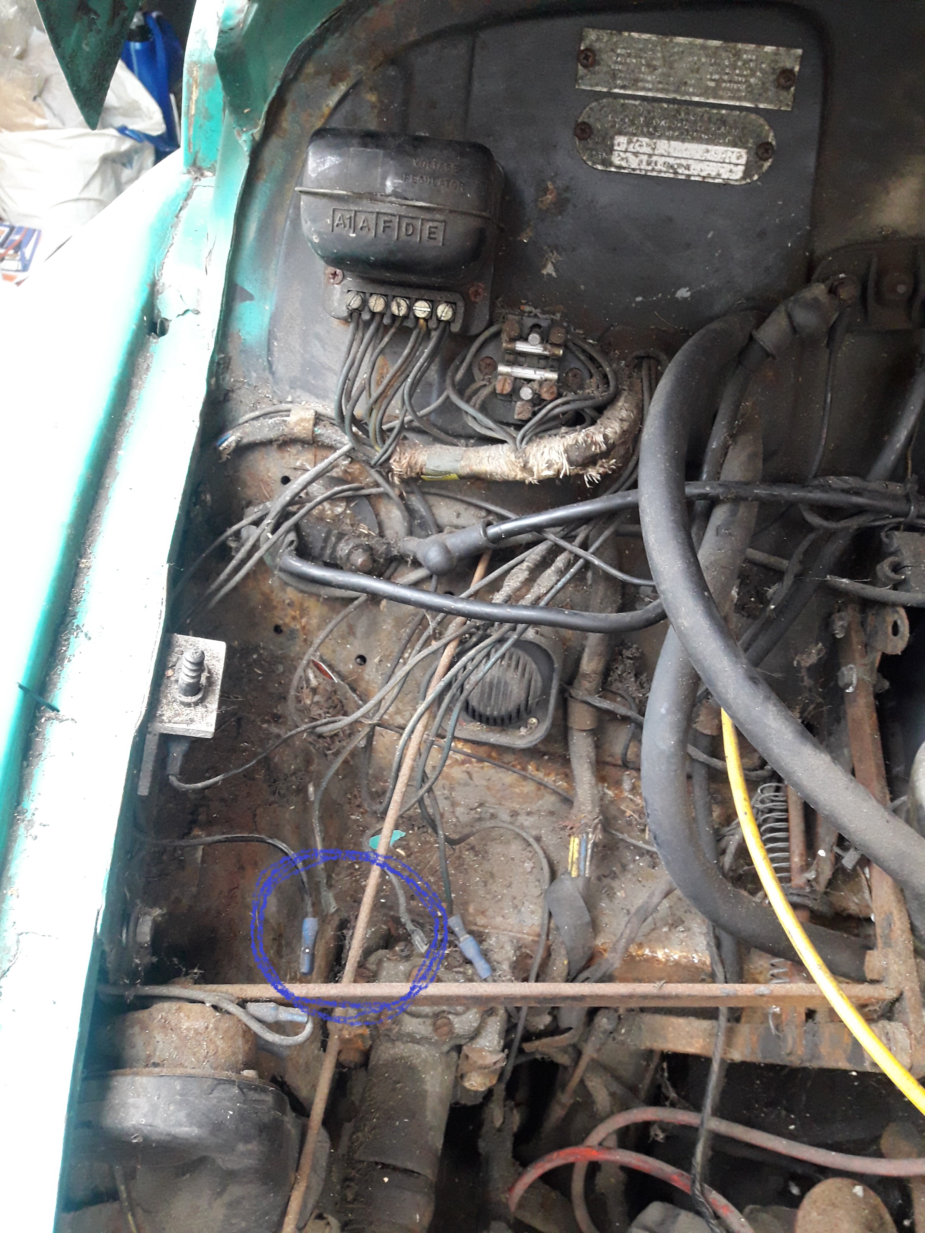 Morris engine bay 3.jpg
