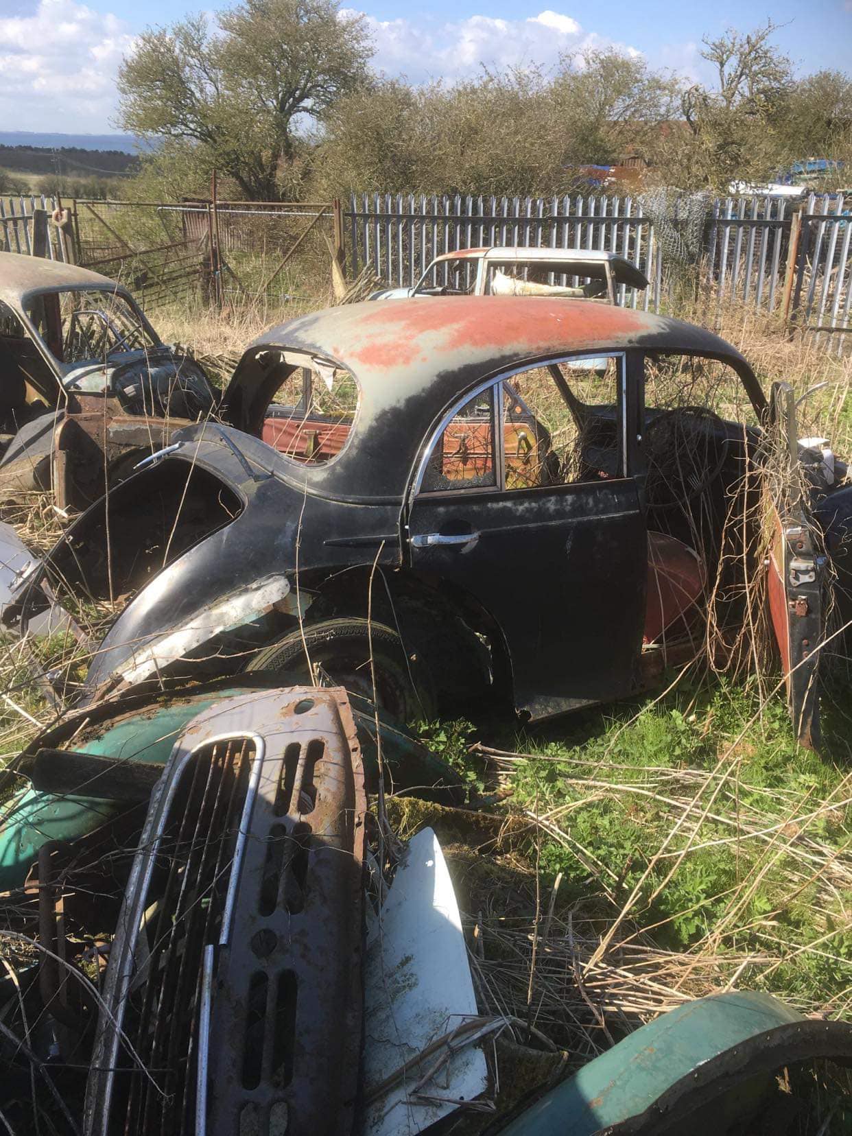 morris graveyard 2.jpg