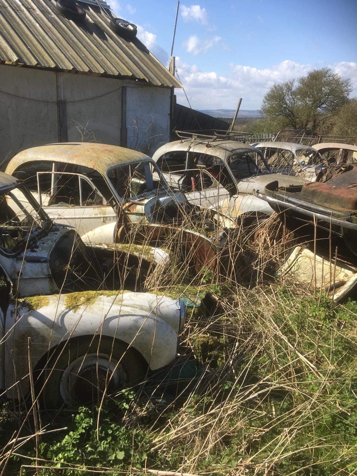 morris graveyard 3.jpg