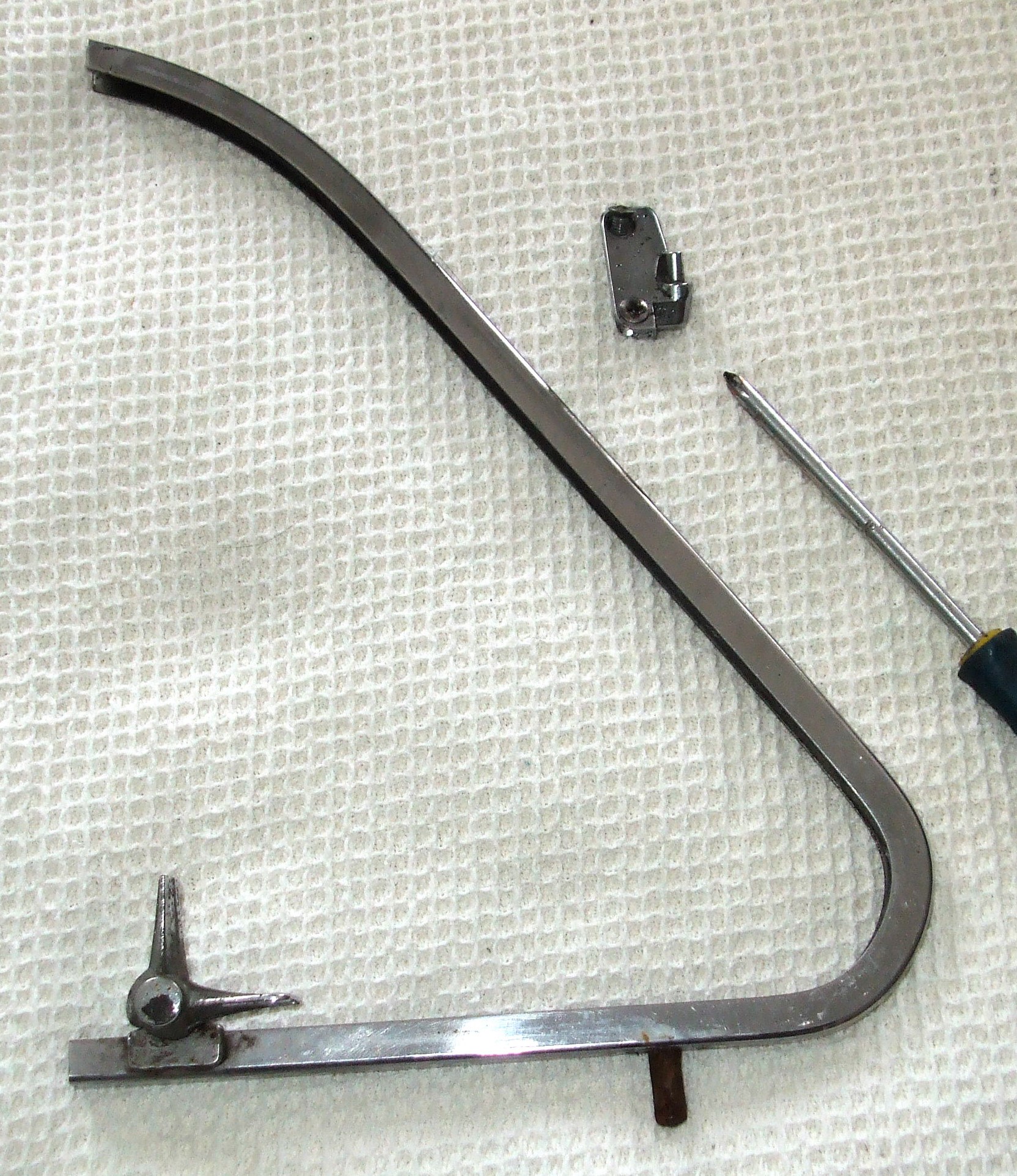 Quarterlight picture 1.JPG