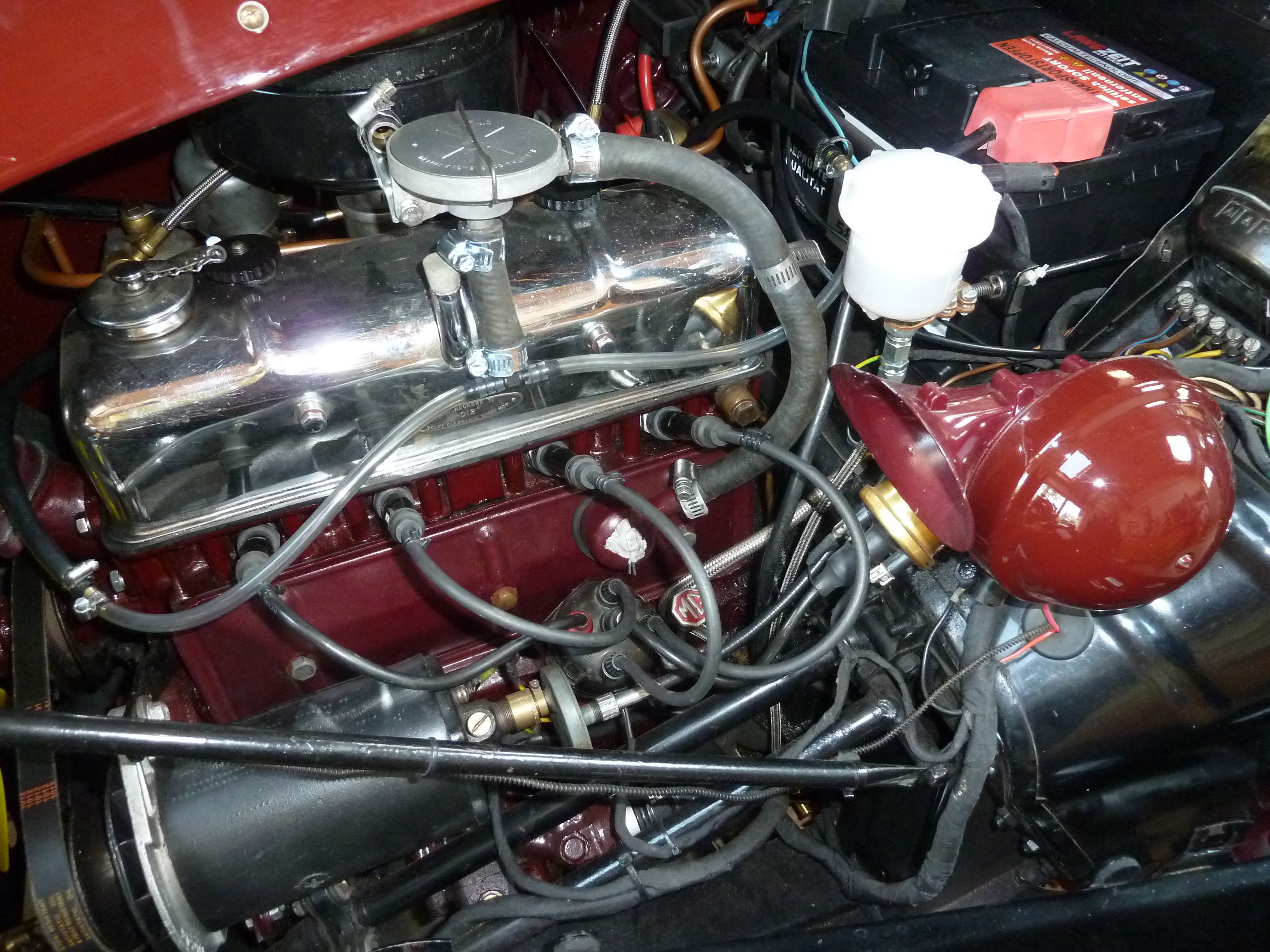 P1020822_1.JPG