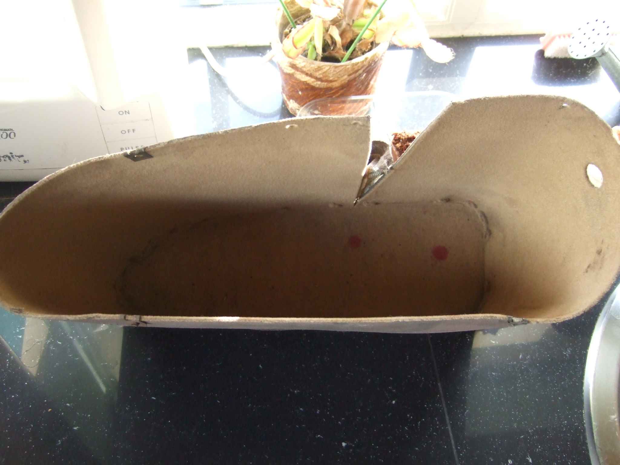 DSCF9643.JPG