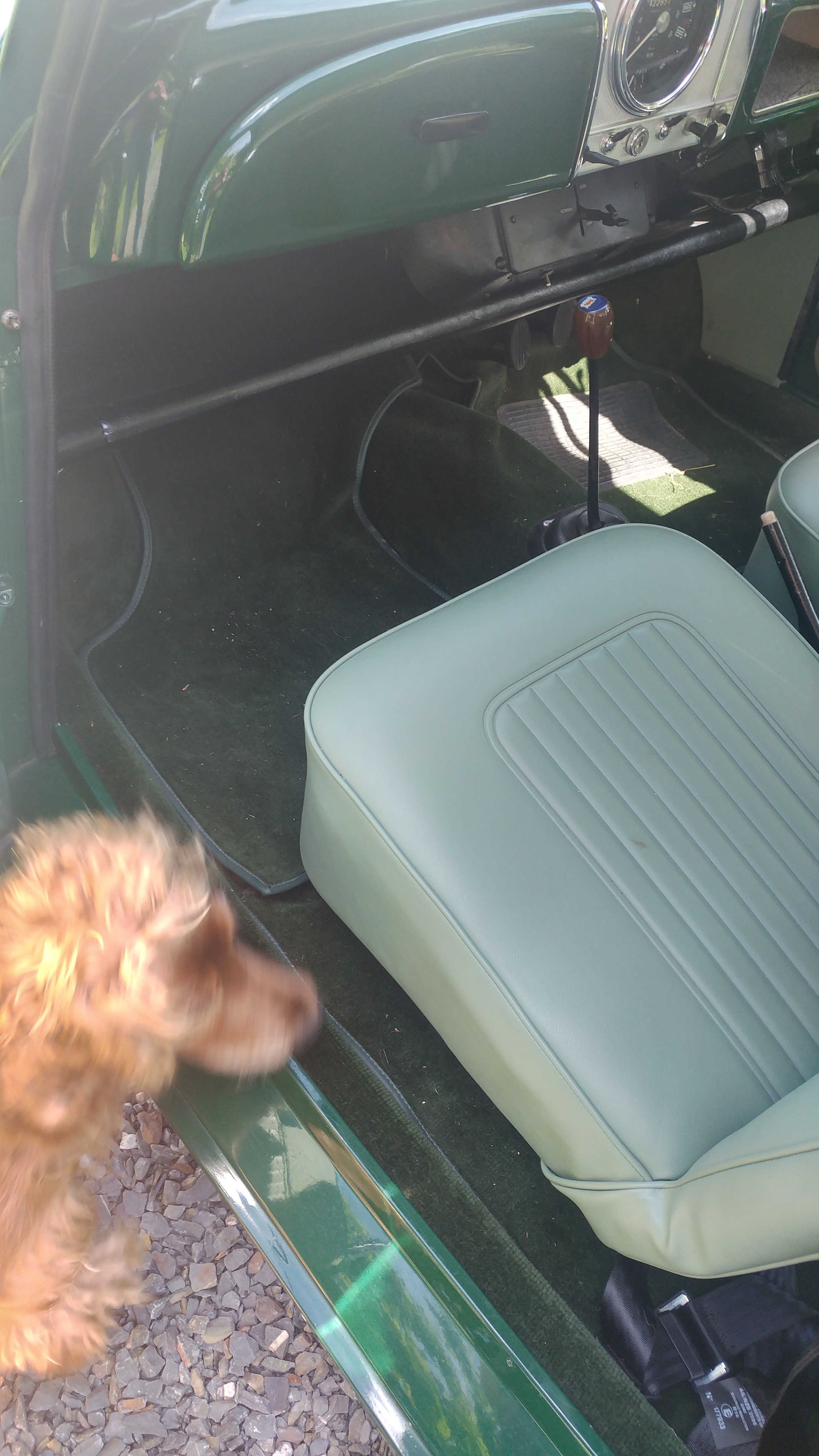 20220710_114004_HDR.jpg
