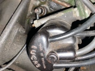 image1.jpeg