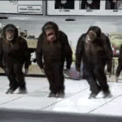 chimps.gif