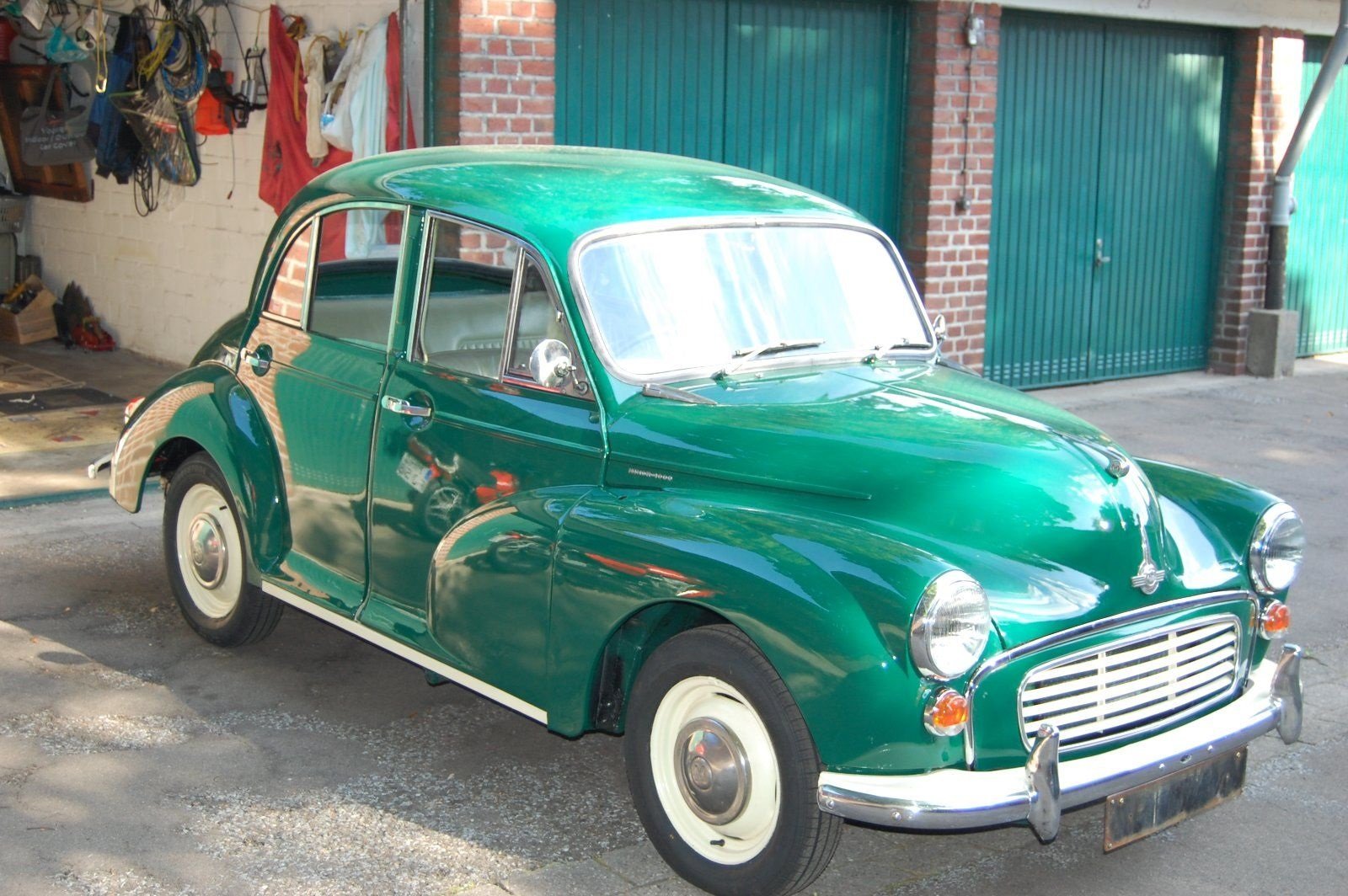Green_Moggy.jpg