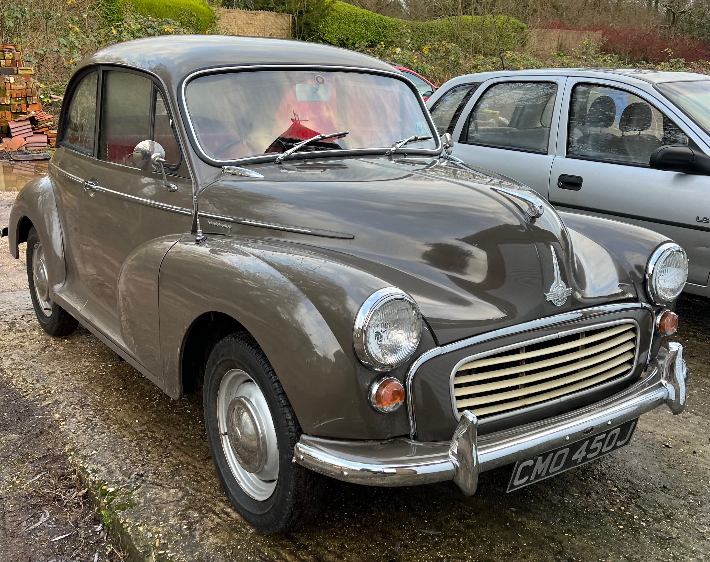 My moggie ‘Jenny’