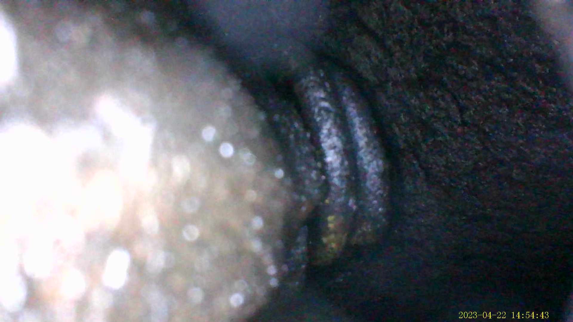 IMG_0004.JPG