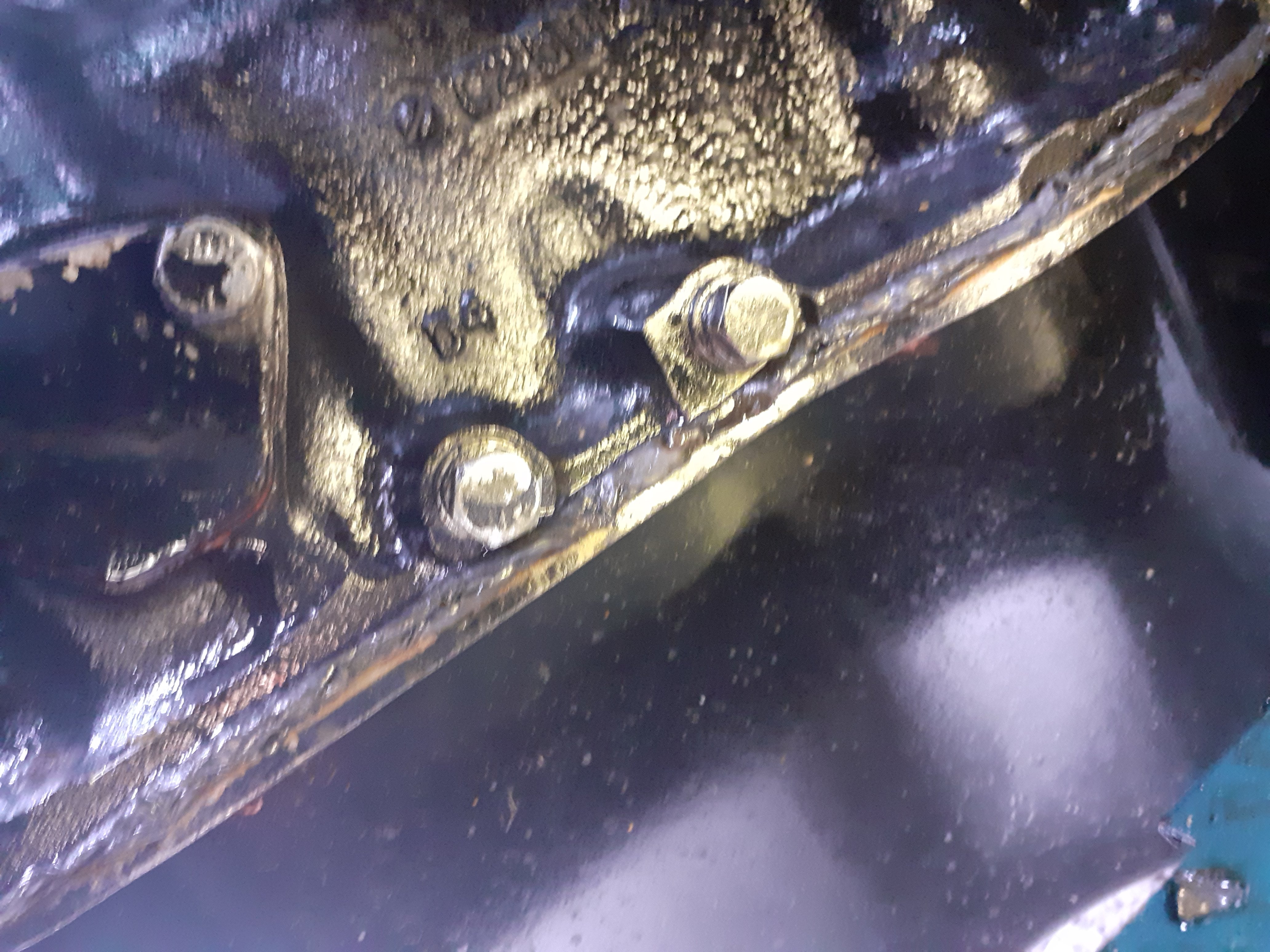 20230923_130240.jpg