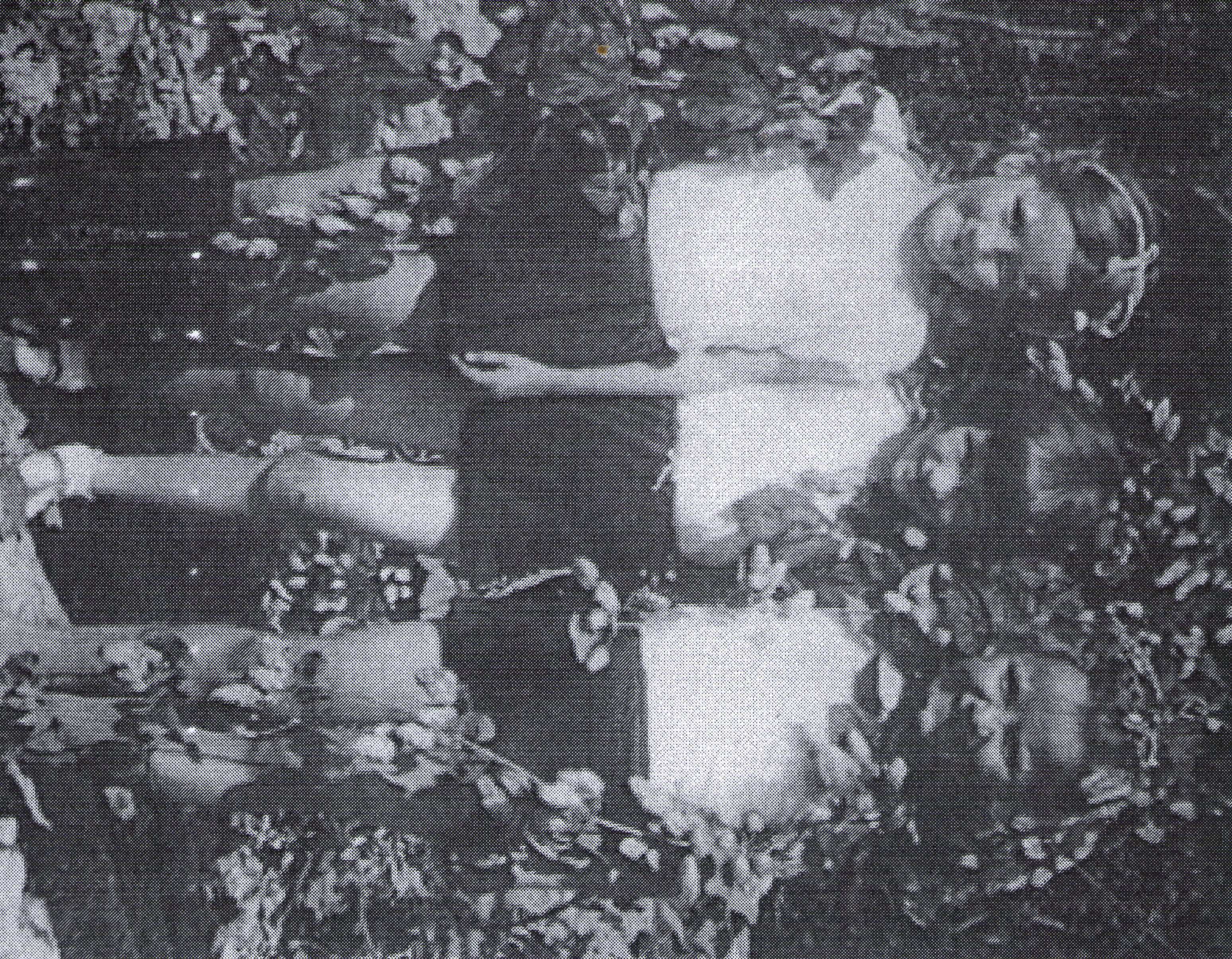 img406.jpg