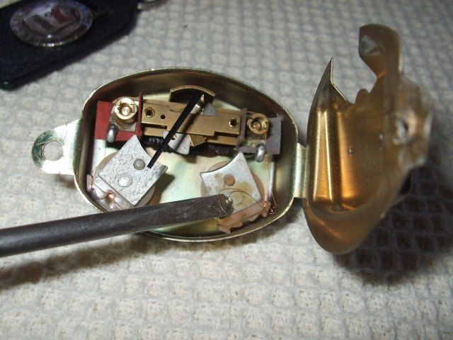 jagnut fg4.jpg