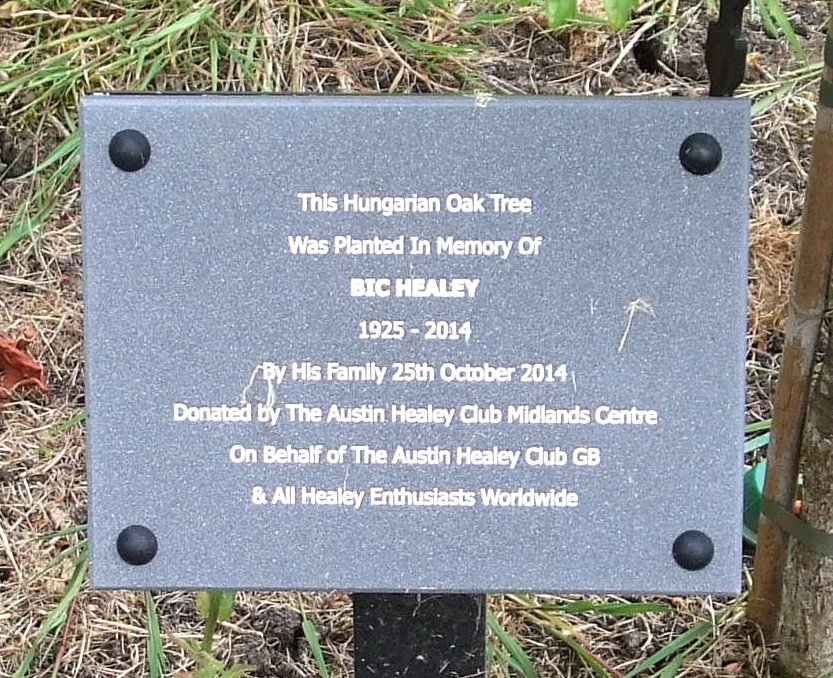 Bic Healey memorial Oak tree and plaque 2.JPG