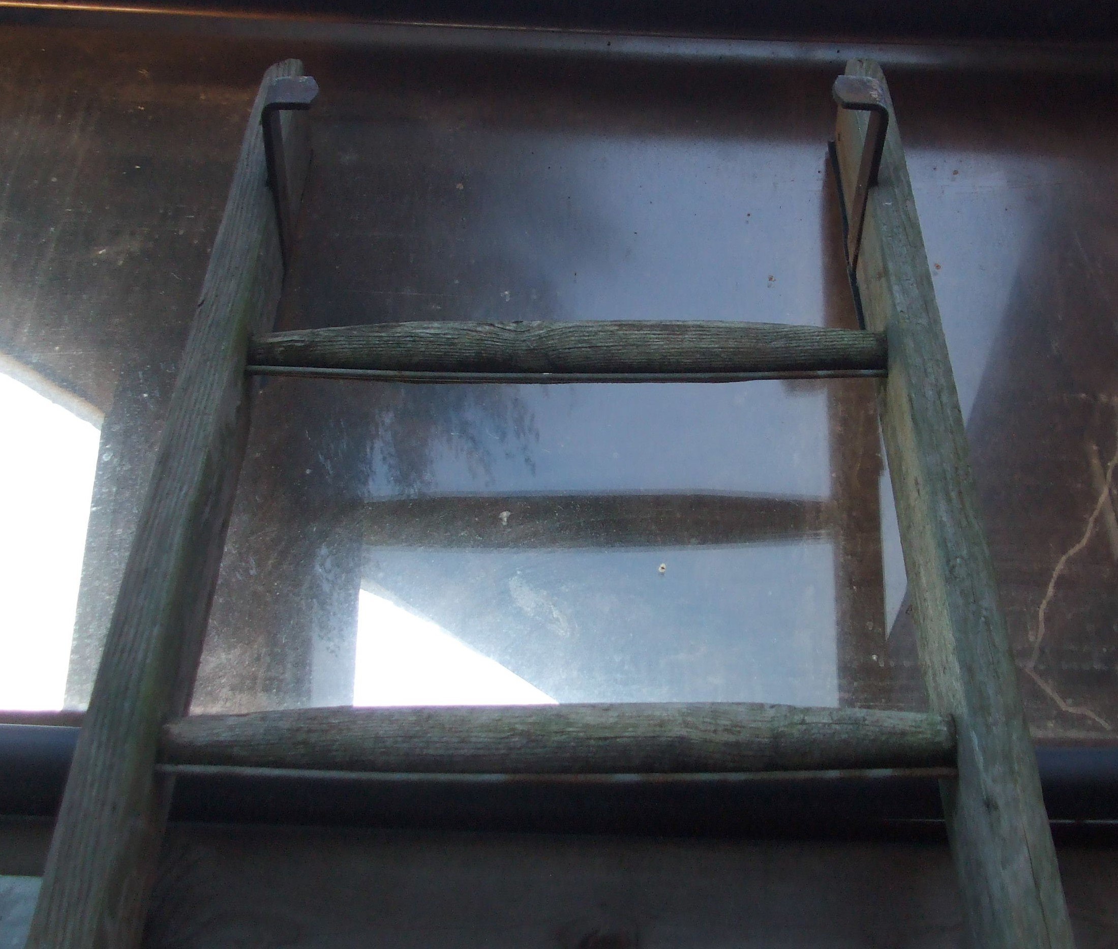 2 GPO type 2 stage  ladder  9' x 1' 2.5.JPG