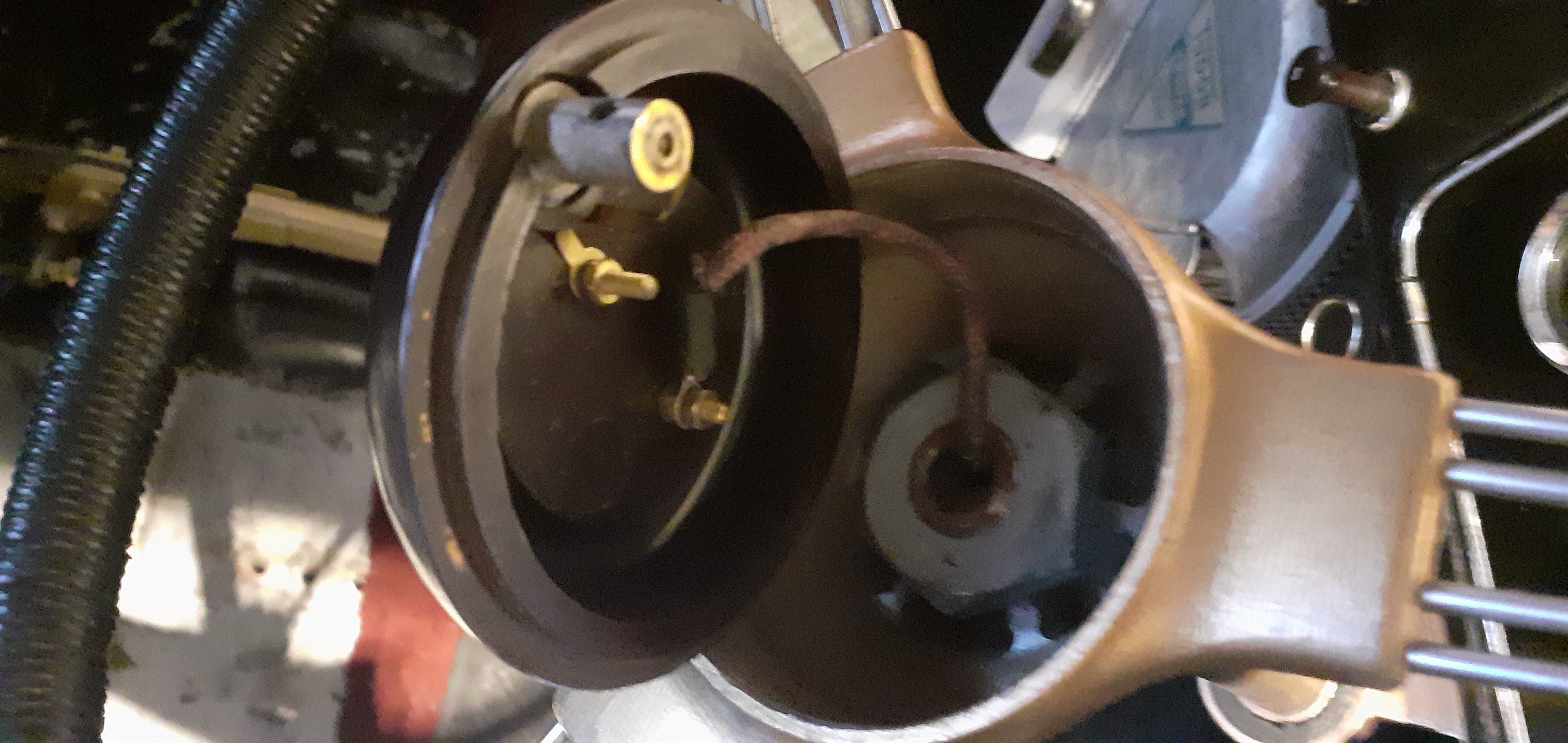 20250401_121159.jpg