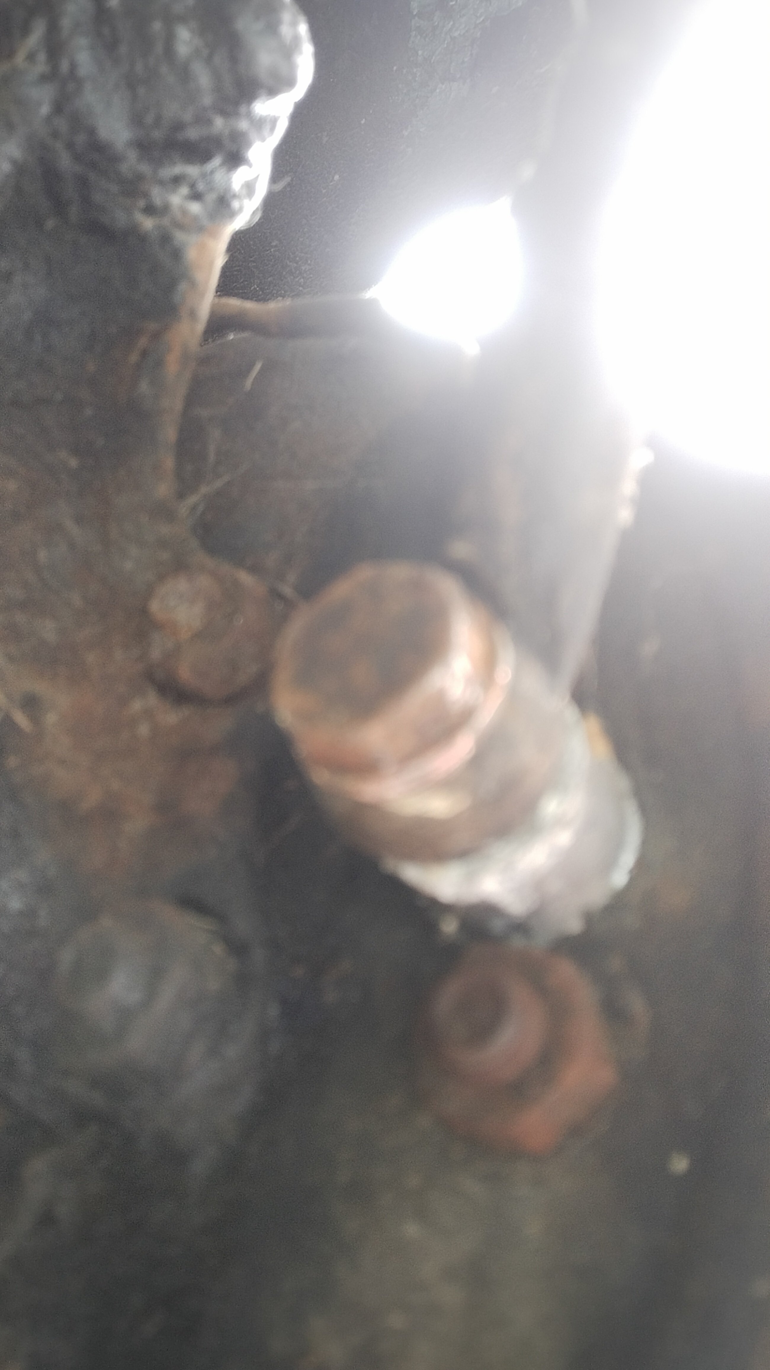 IMG20250420115951.jpg