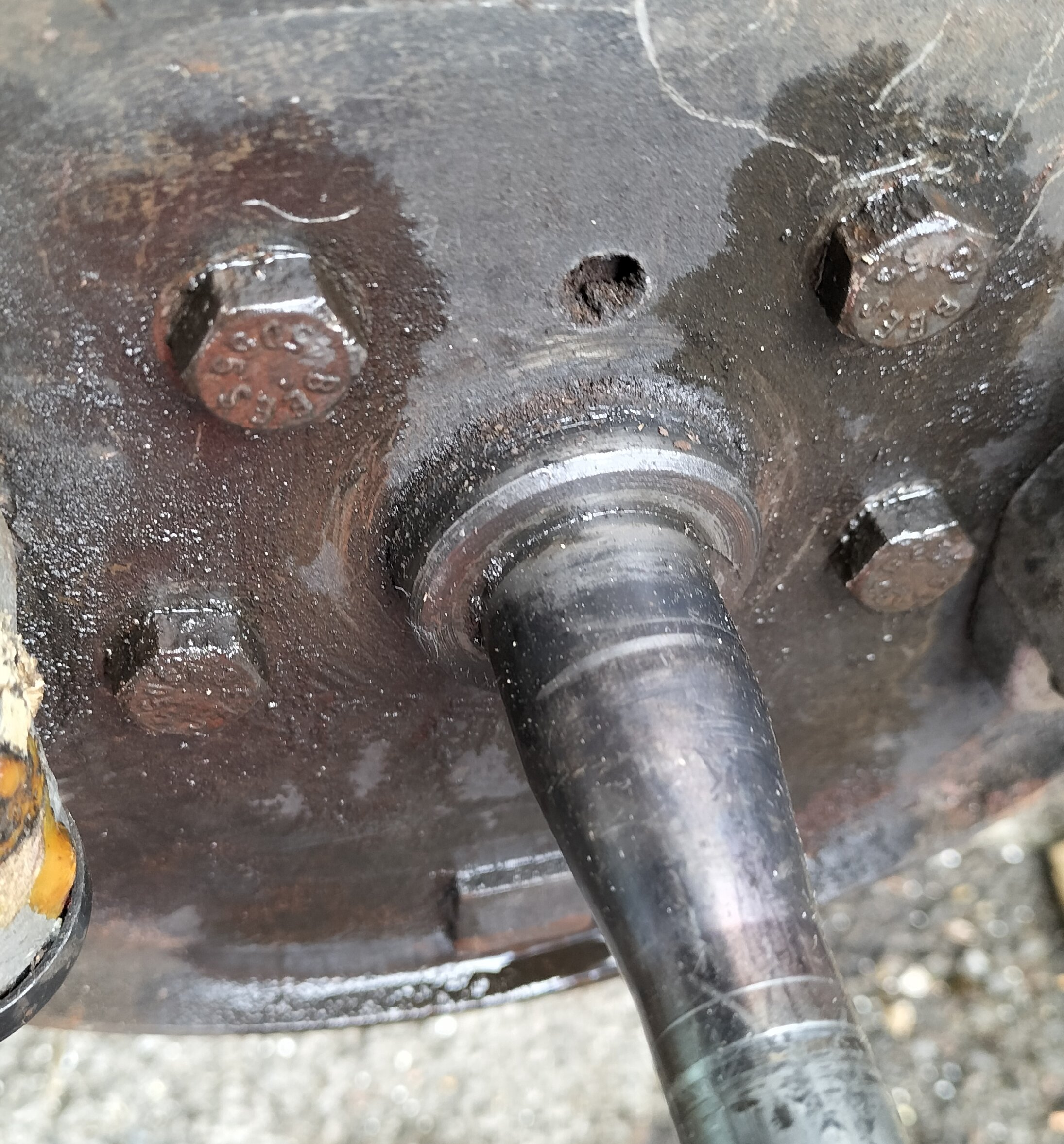 Backplate bolts.jpg