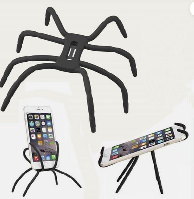 phone spider.JPG