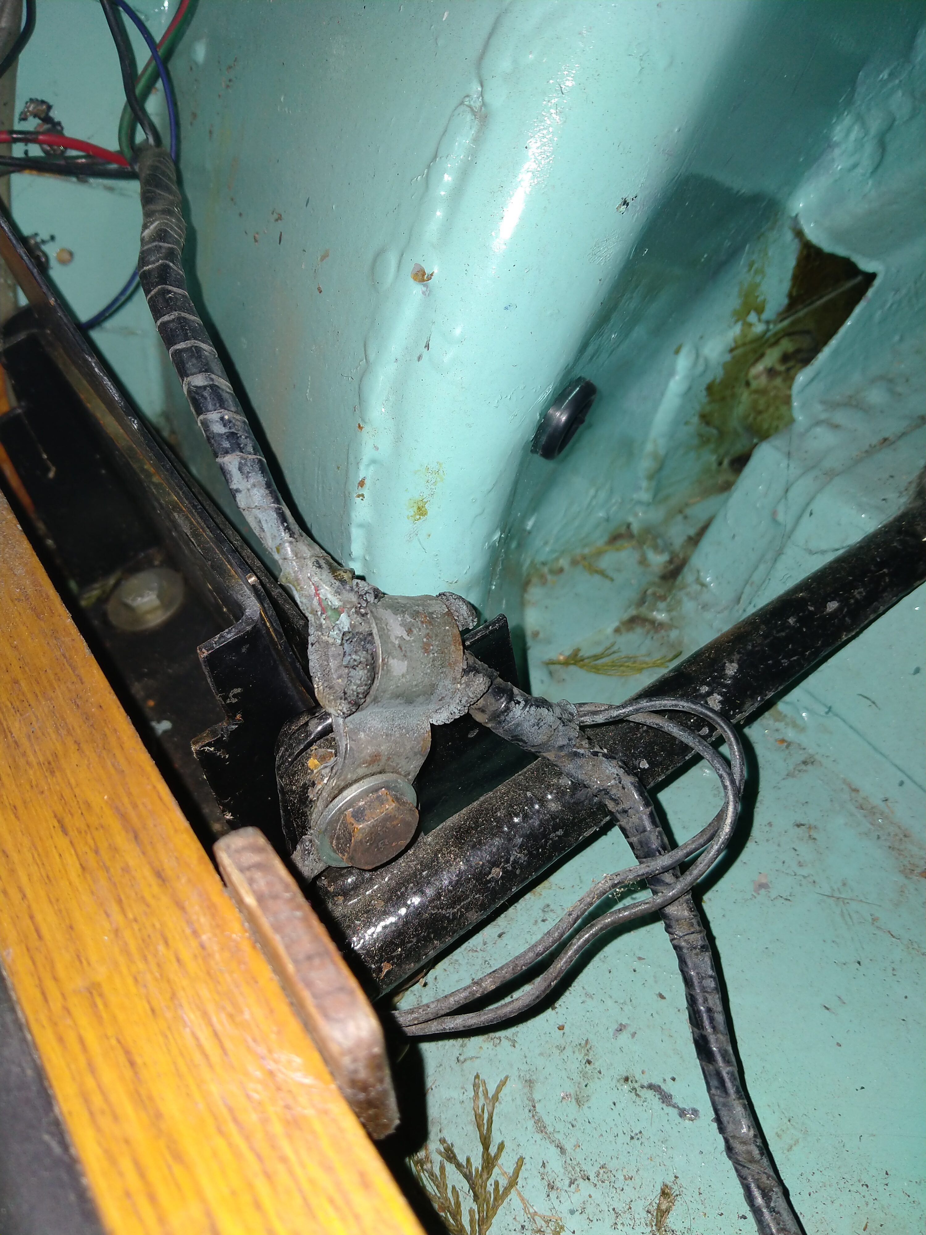 IMG20251117162219.jpg