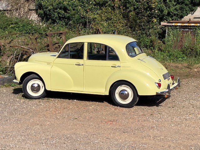 Yellow Minor.jpg