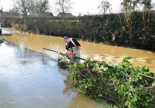 River Clearing.JPG
