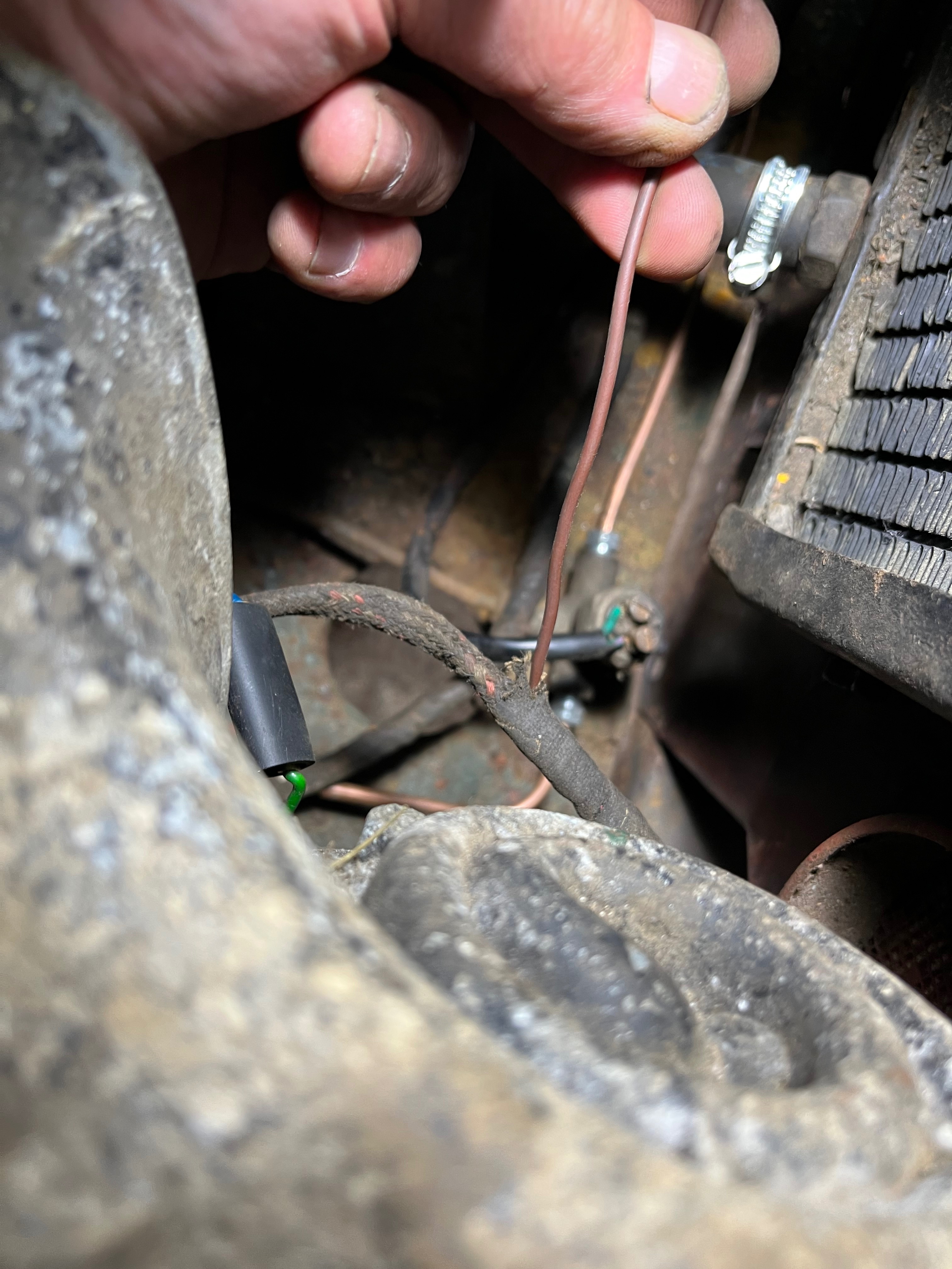 IMG_2823.jpeg