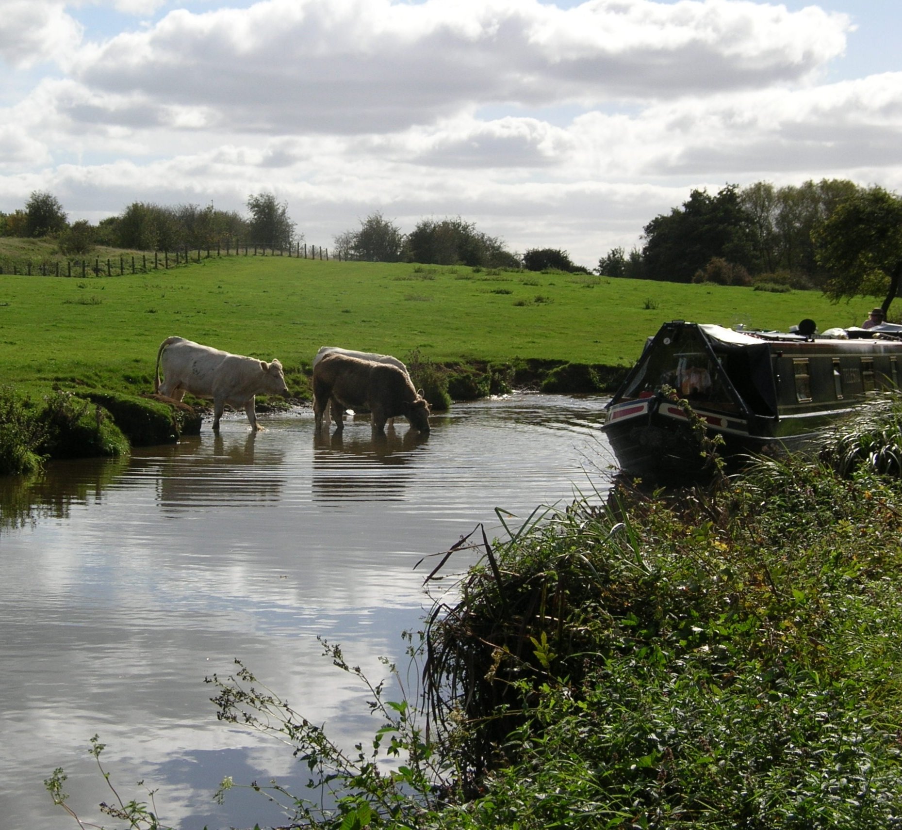 DSCN3880.JPG