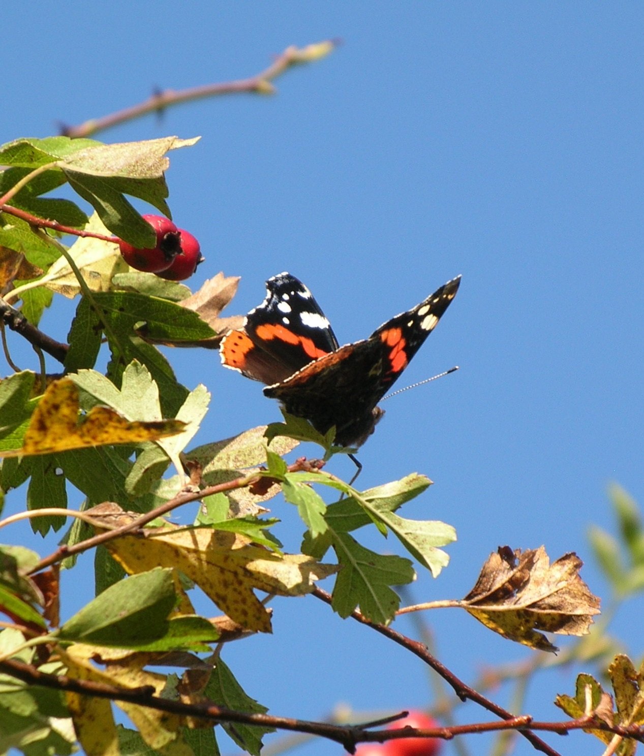 DSCN3897.JPG