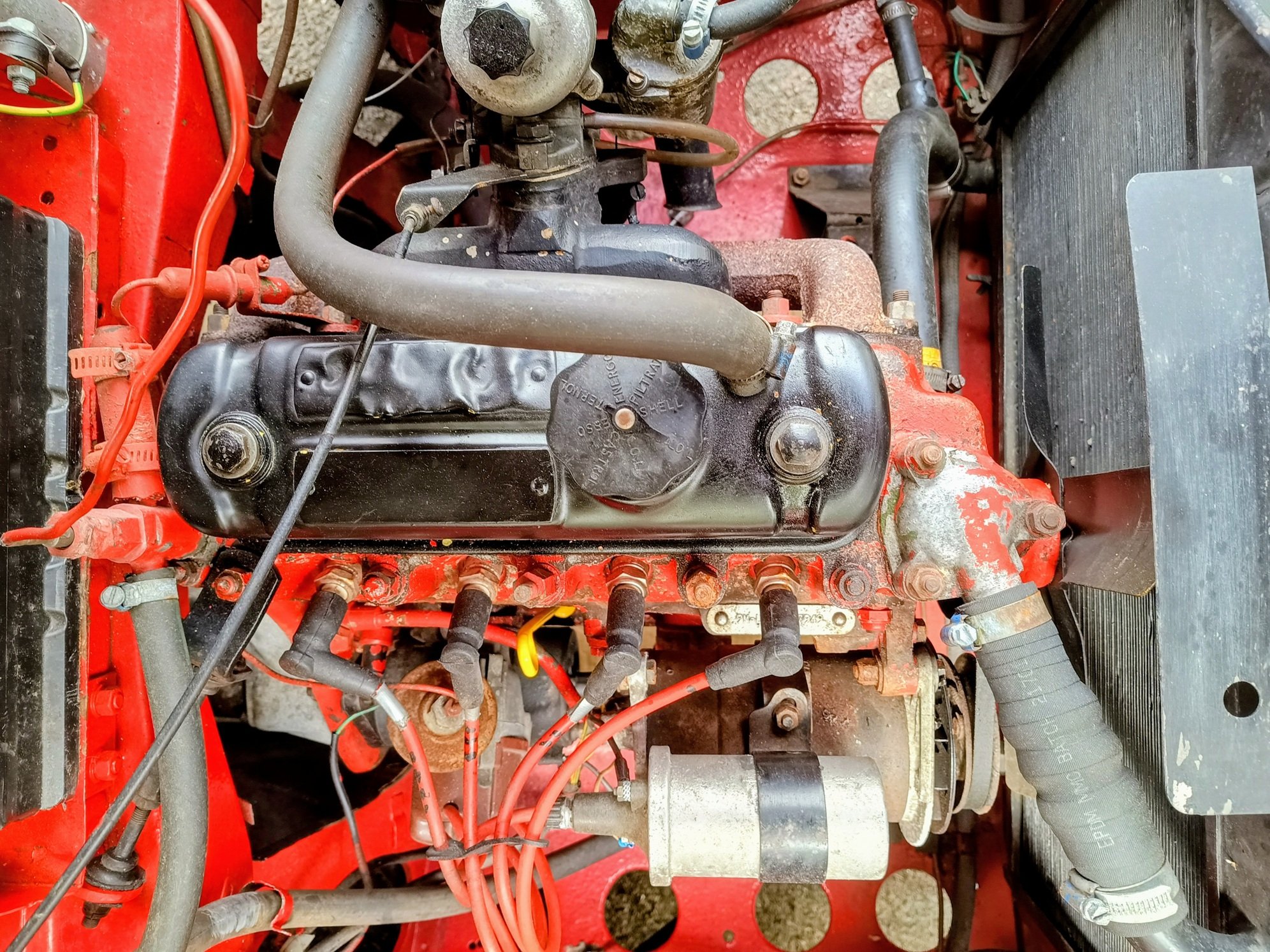 1f2158a7-622f-4f4f-8f99-71aefda915f2~1.jpg