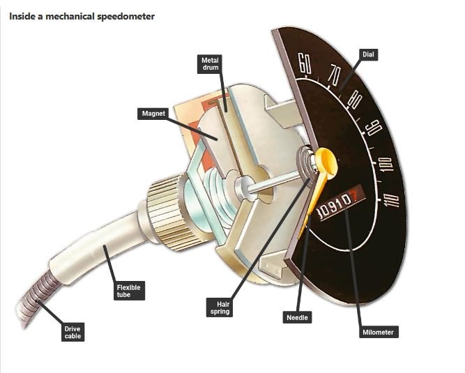 Speedo internal.JPG