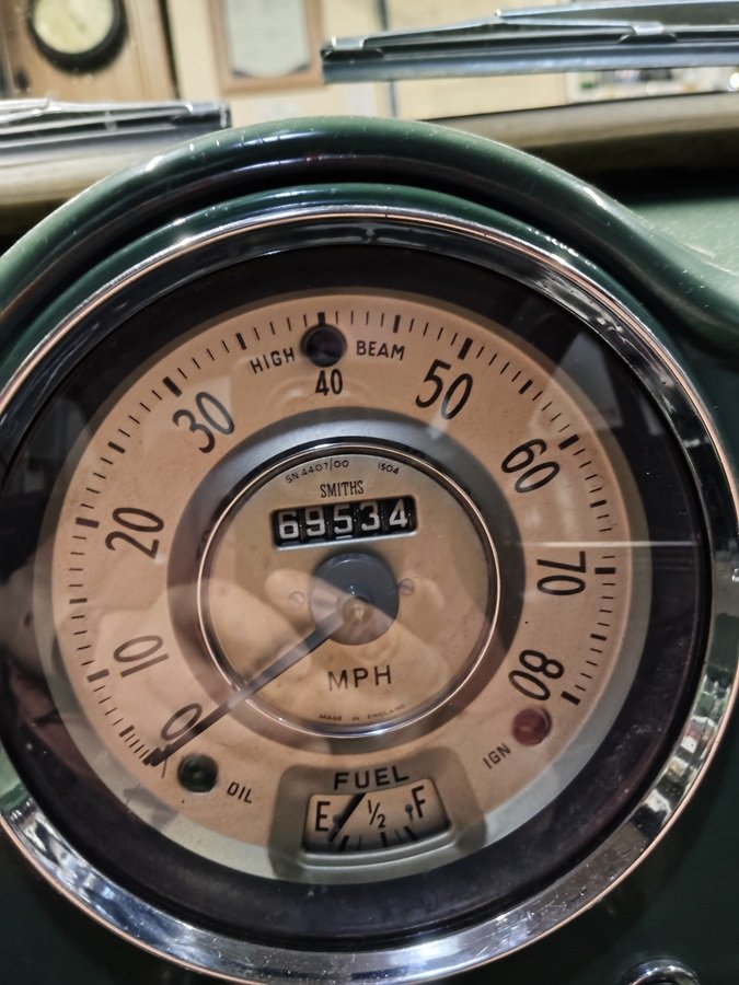 speedo 1.jpg