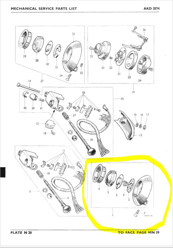 Brown Horn.JPG