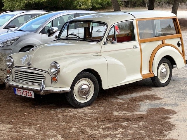 IMG_5954 morris.jpeg