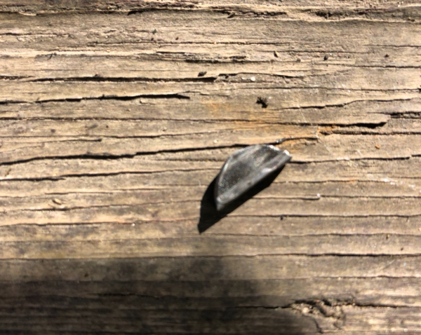B9766A02-67CE-4581-8D6C-5AF2B499DE67.jpeg