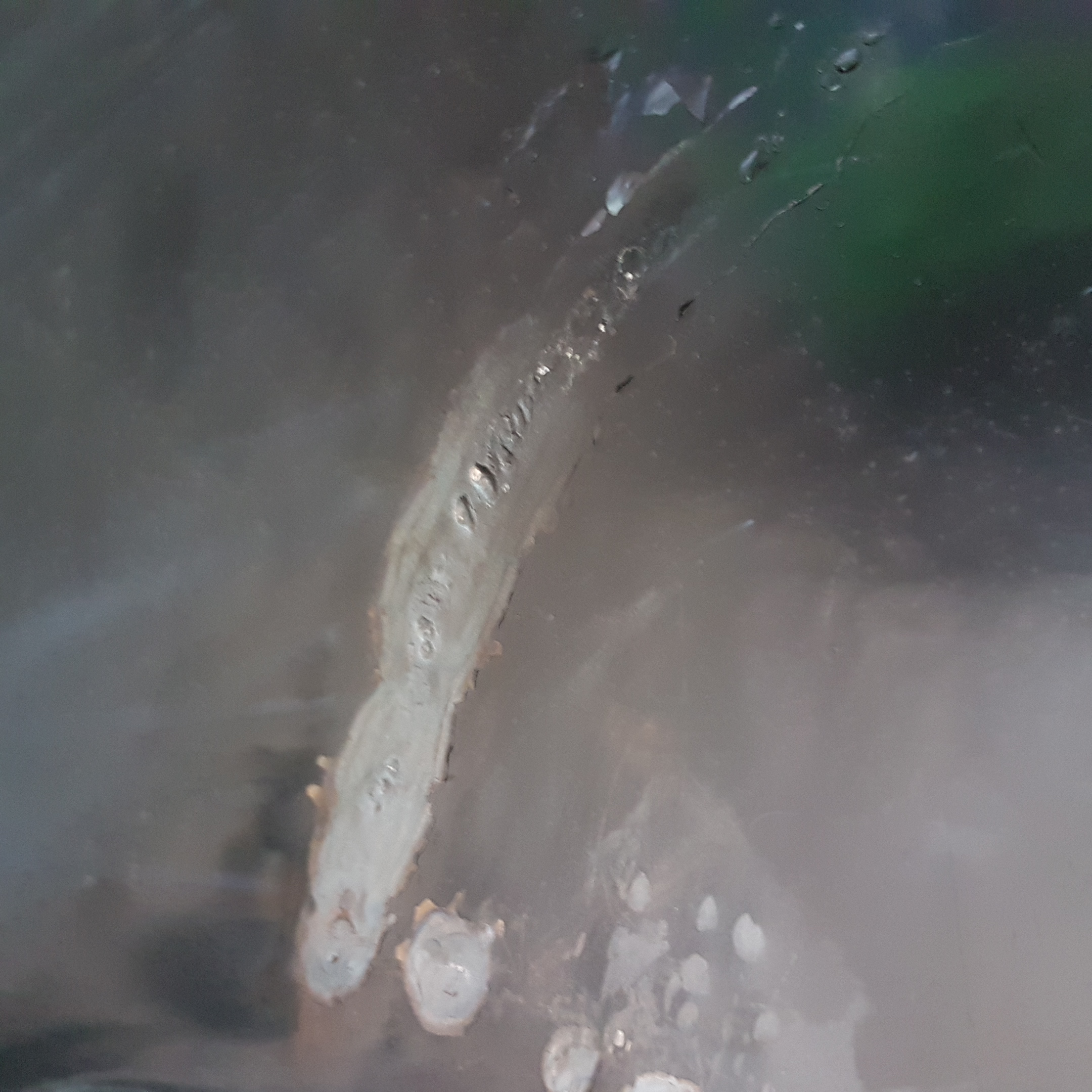 20180718_175448.jpg