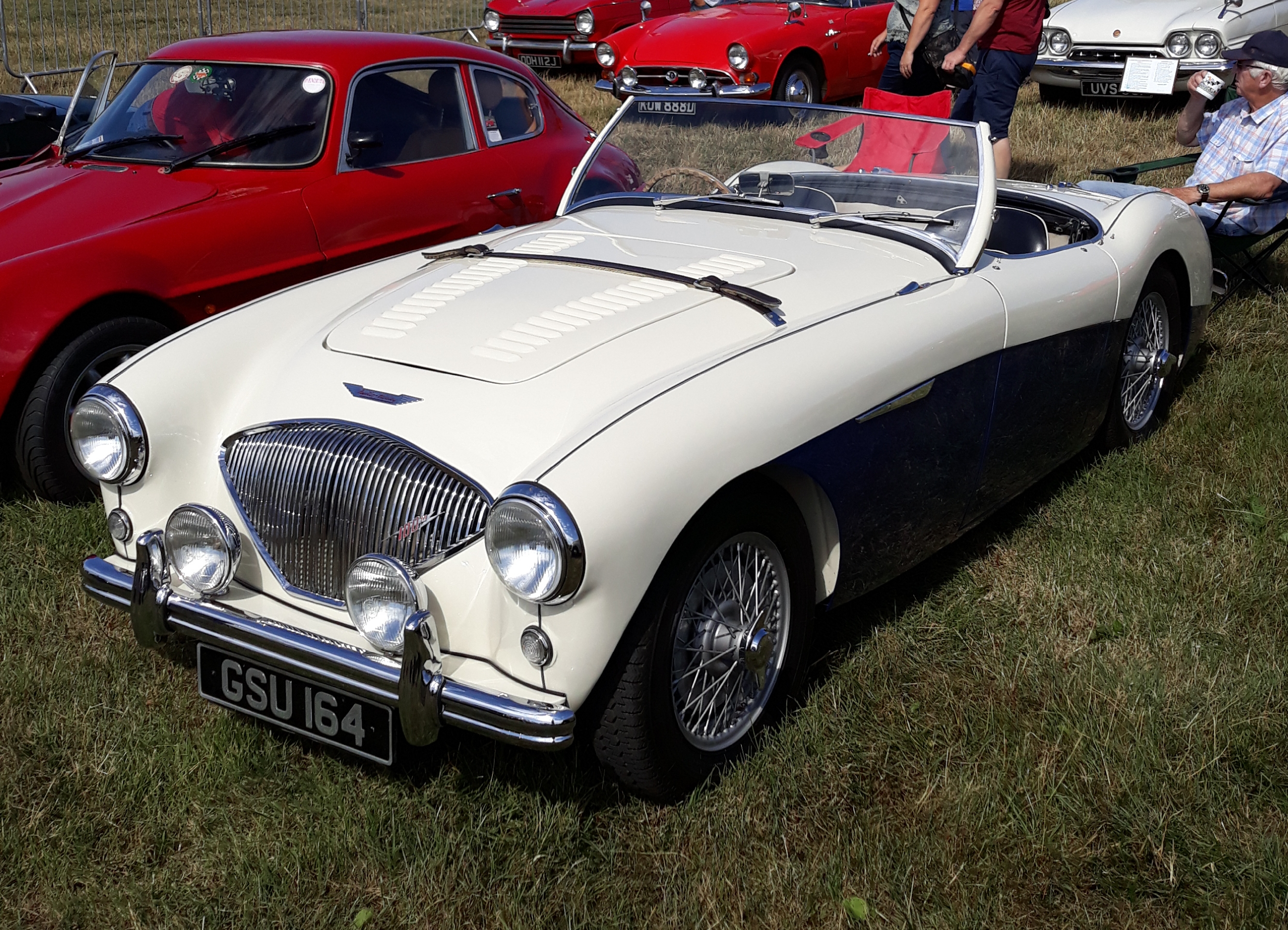 1954 Austin Healey 100/4