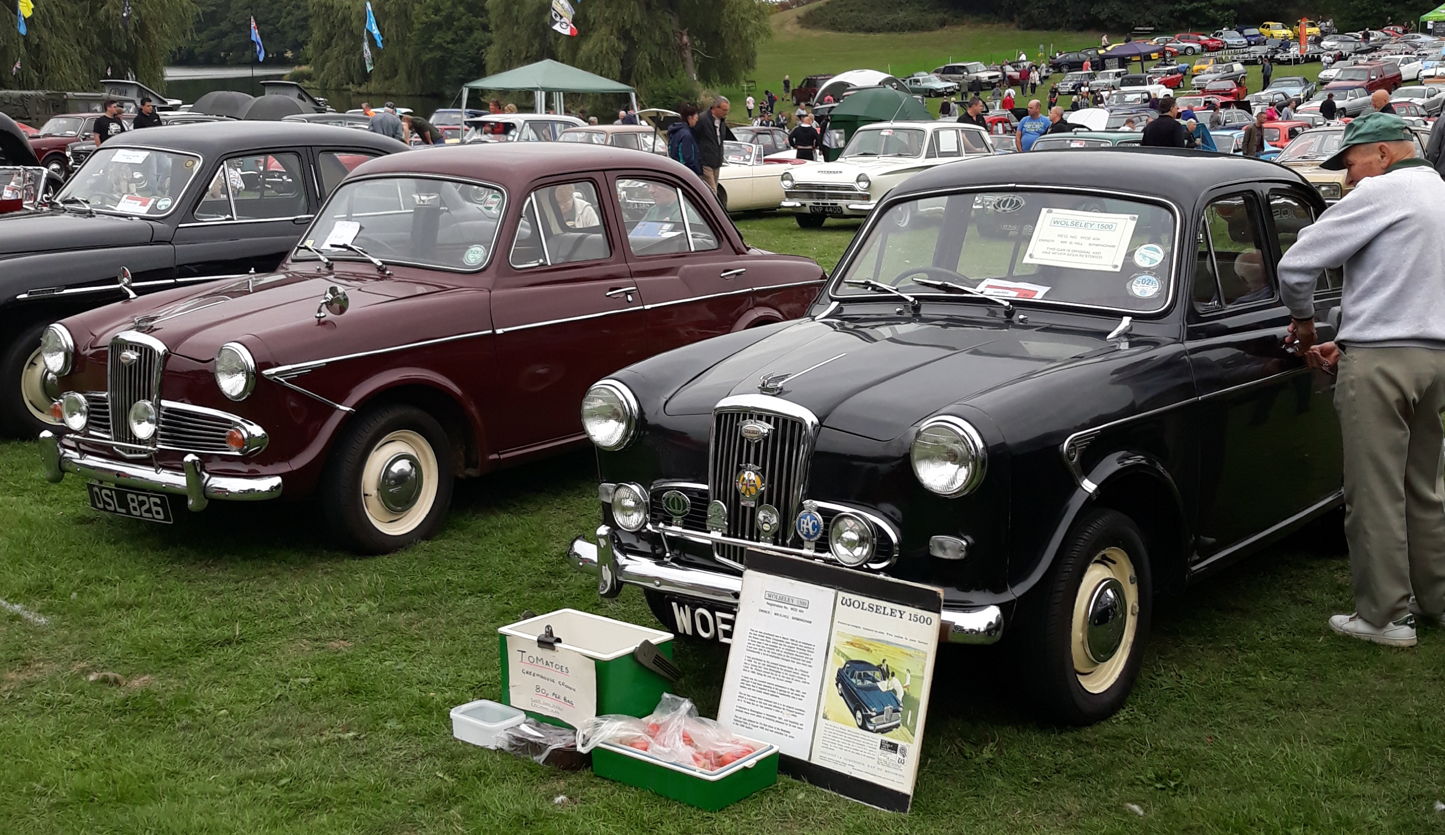 2 x Wolseley 1500. Mk.1 black. Mk.3 maroon.