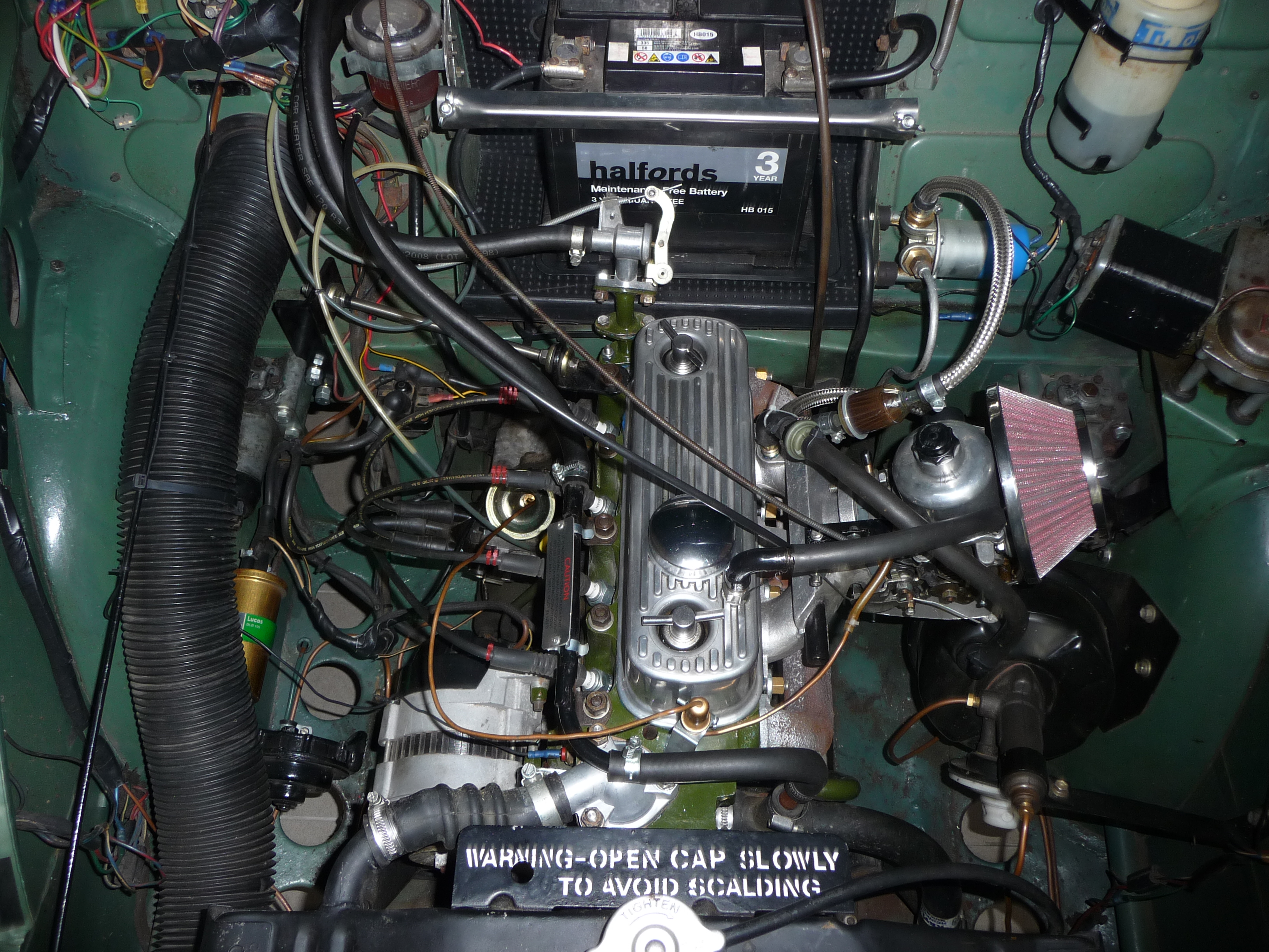 P1020515a.jpg