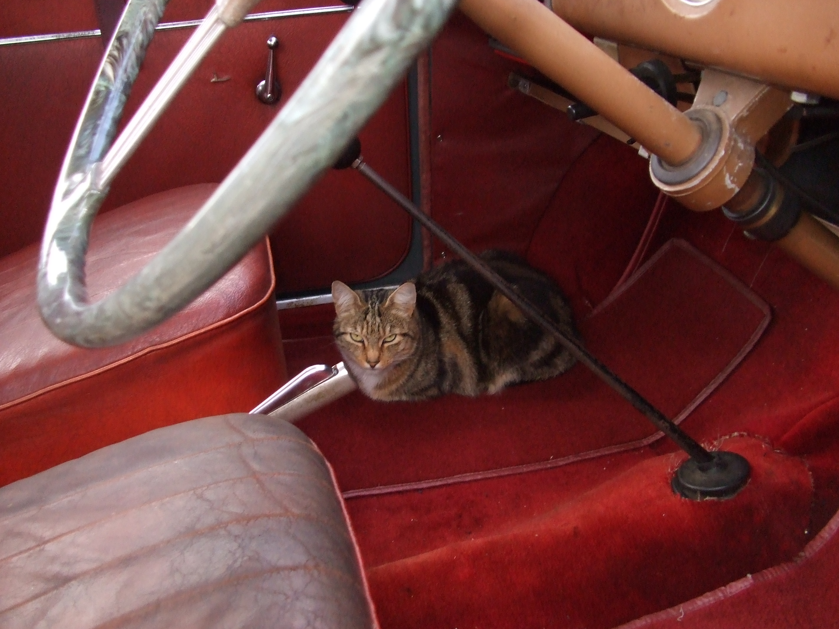 DSCF3320.JPG